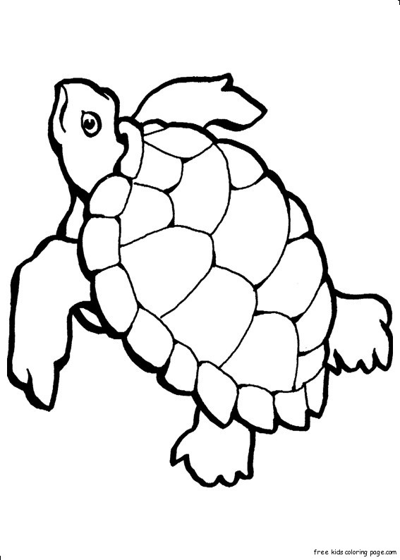 ocean animal coloring pages for preschool - photo #20