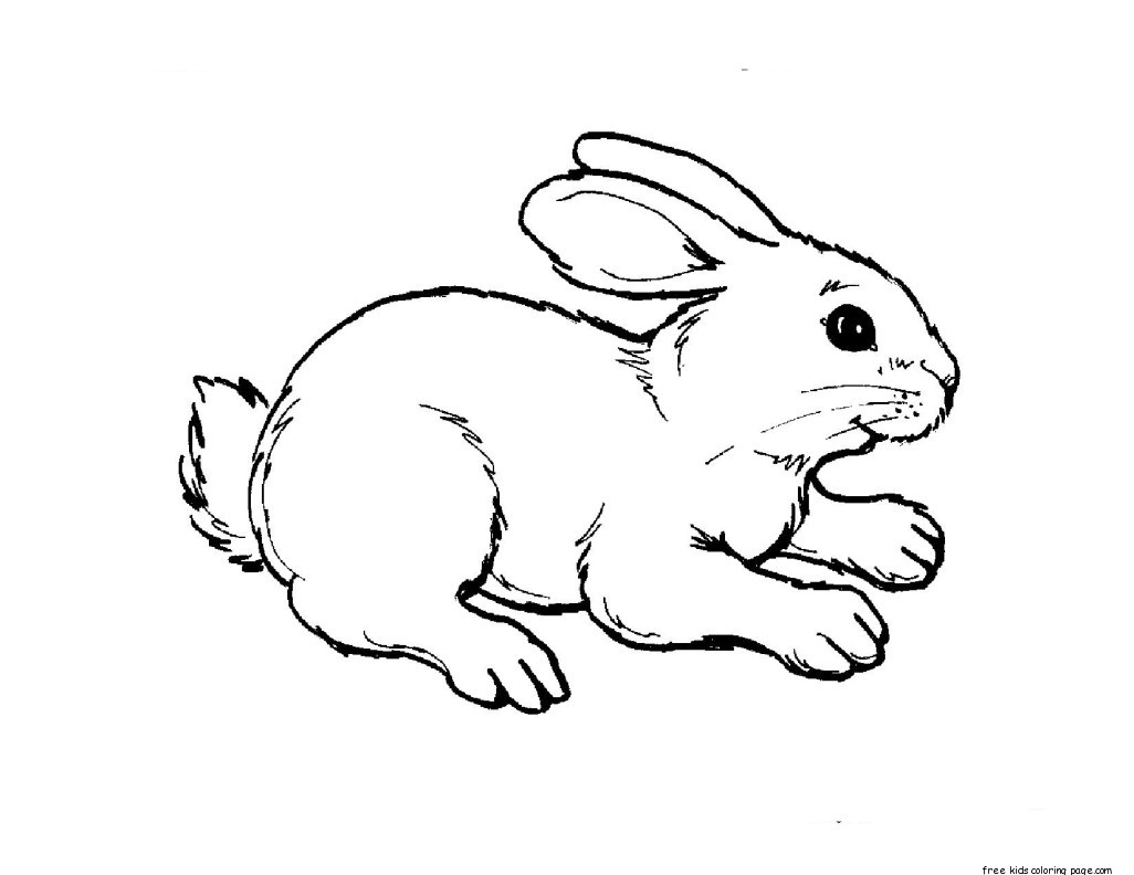rabbit coloring pages for kids - photo #37