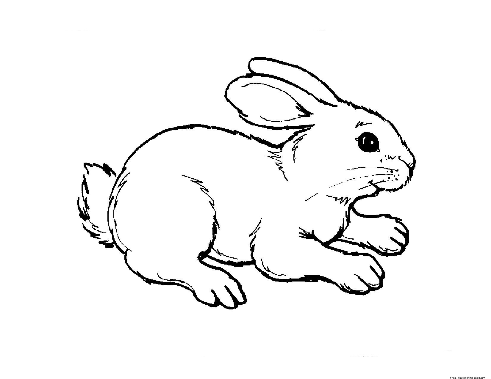 Print Out Animal Rabbit Pictures Colouring Pages For KidsFree Printable 
