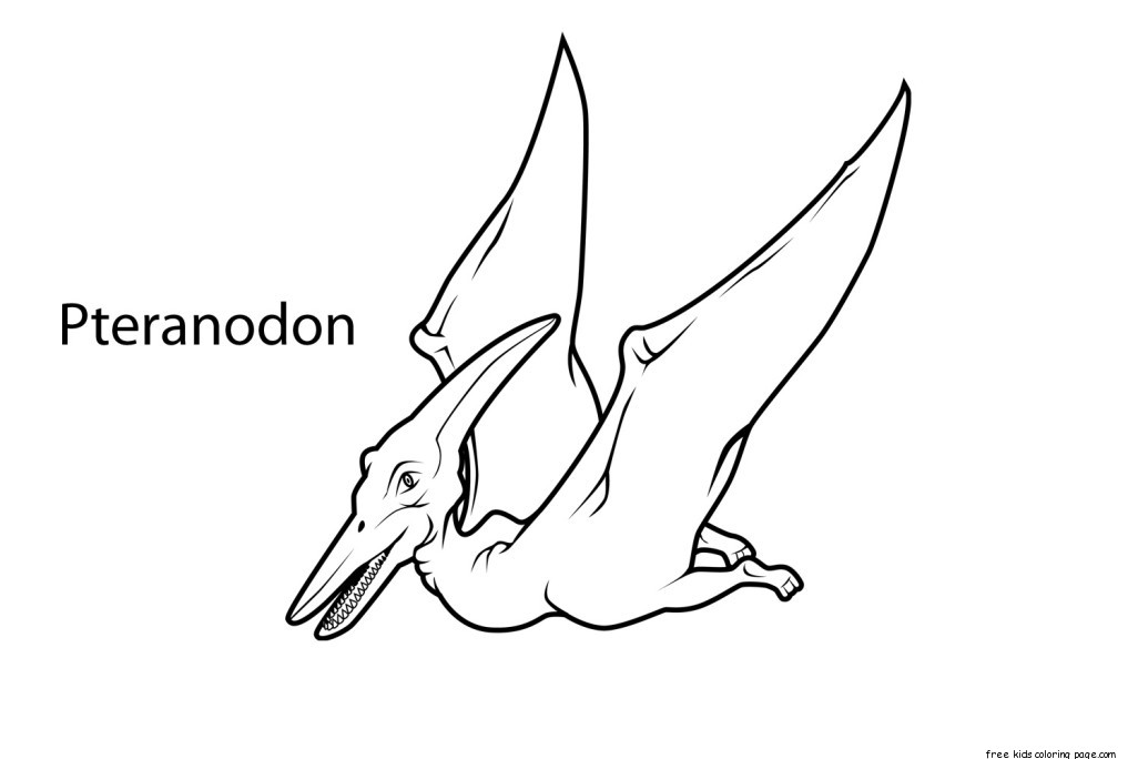 dinosaur coloring printable pteranodon dinosaurs fastseoguru sheets animal dino freekidscoloringpage alphabet visit login