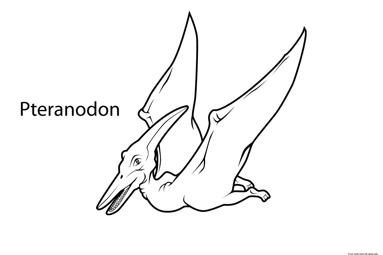 Printable pteranodon dinosaur coloring pages for kidsFree ...