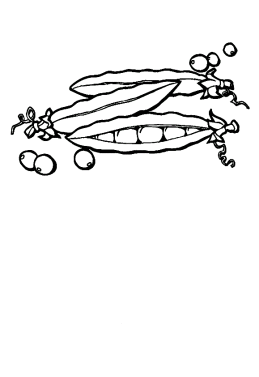 Print out vegetable Peas coloring page