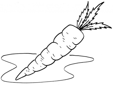 Printable Vegetable Carrot Coloring Page