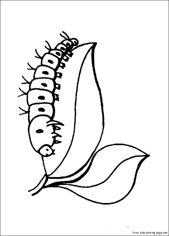 caterpillar insect coloring print out