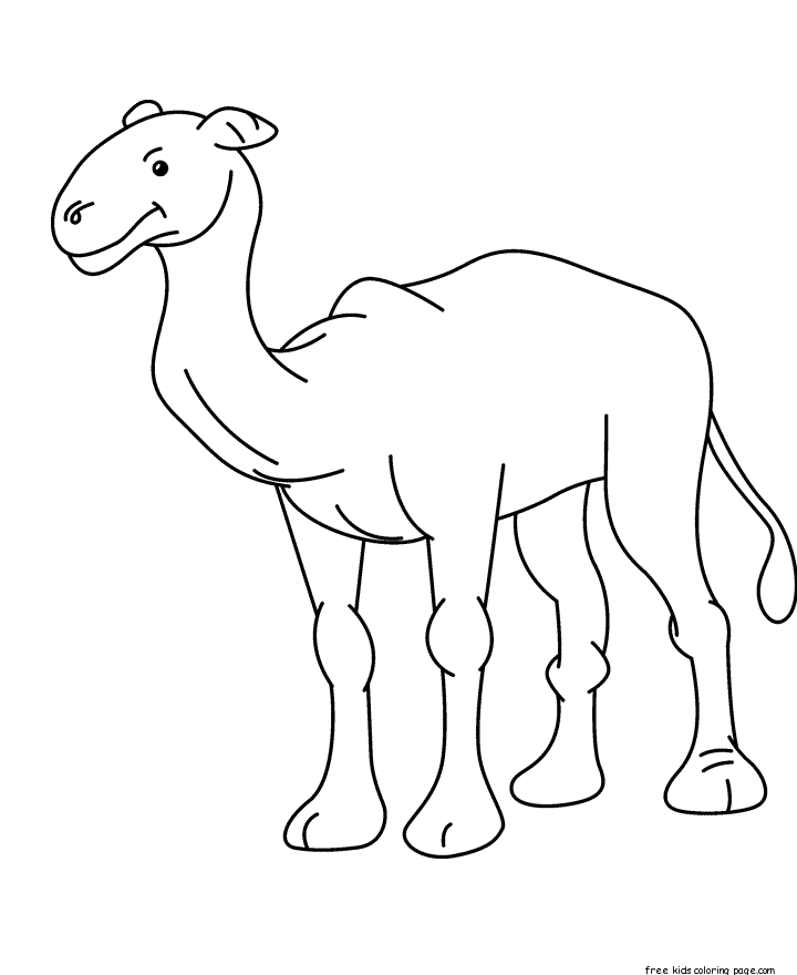 Printable animal Baby camel Coloring page for kids
