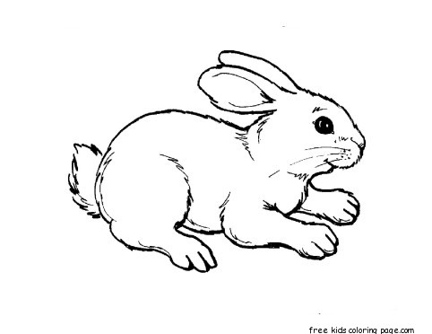 Printable kids coloring pages animal rabbit