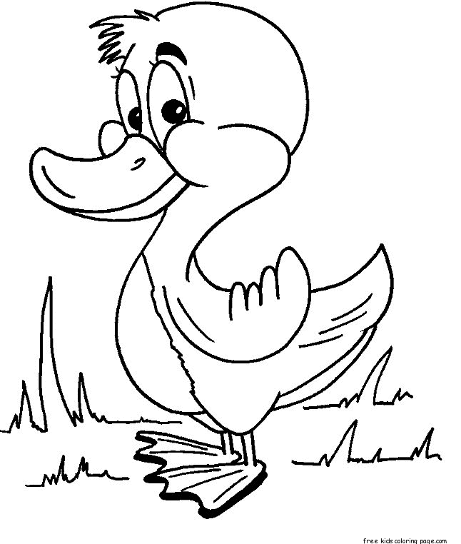 Print out animal duck coloring pages