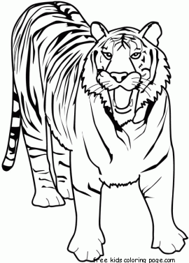 Printable Animal tiger of africa coloring pages