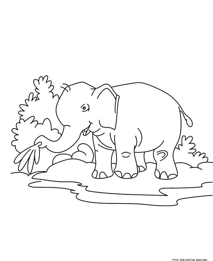 Printable Baby elephant Coloring page for kids