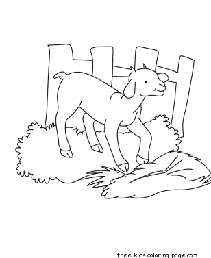 Printable Baby goat Coloring page for kids