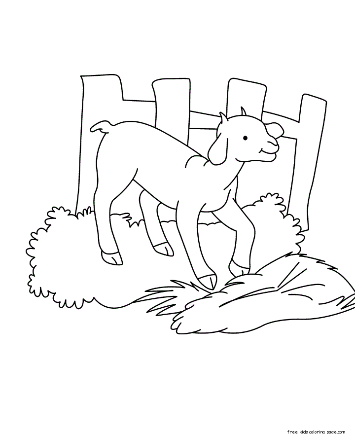 Baby goat Coloring pages printable for kids. farm animals coloring pages to print