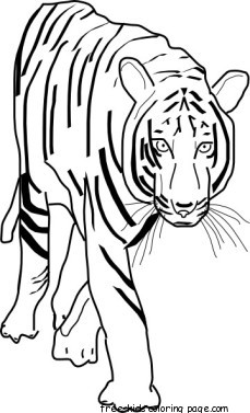 Printable coloring pages Bengal Tigers