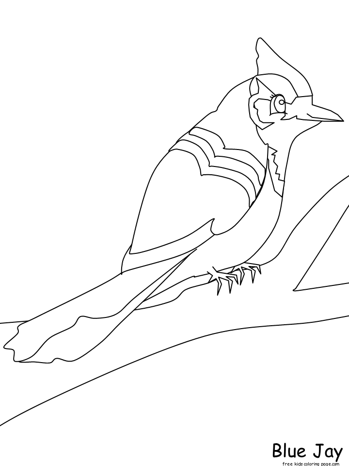 Print out animals birds blue jay coloring pages for kids
