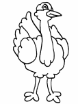 coloring pages ostrich to print out for kids