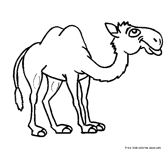 Printable Animals Camel Coloring Pages