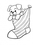 Puppy in christmas stocking coloring pages for kids