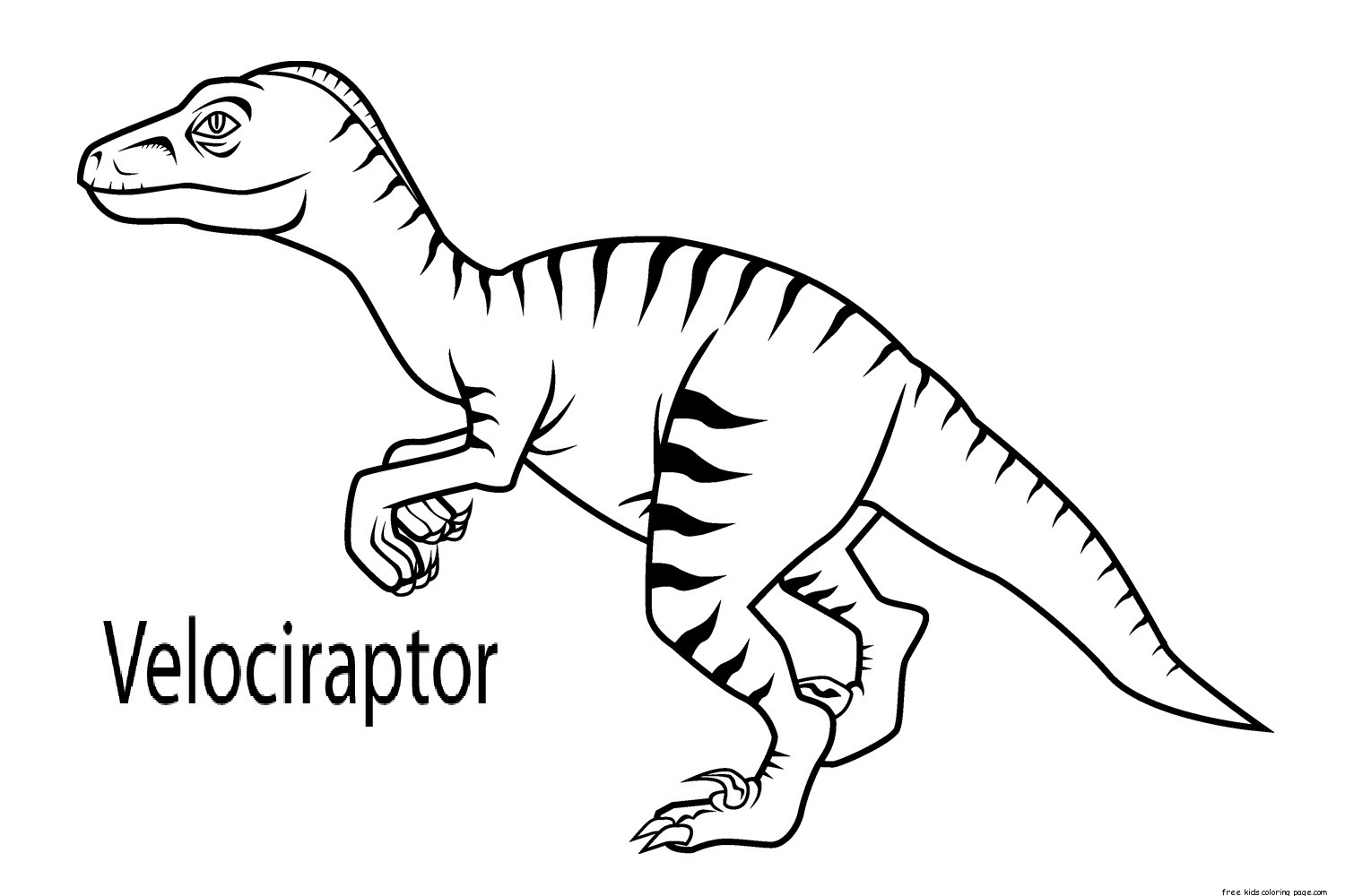 Printable Velociraptor Dinosaur Coloring Book Pages For Kids