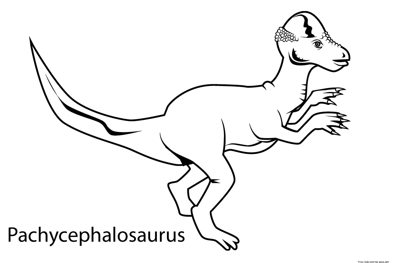 Printable dinosaur pachycephalosaurus coloring in sheets