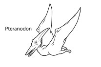 Printable dinosaur pteranodon coloring pages