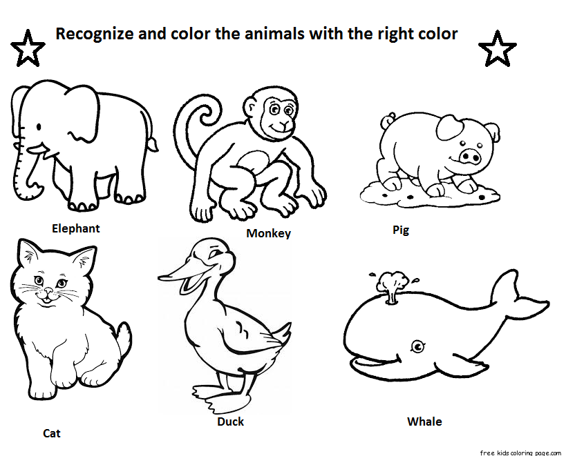 Identify animals coloring - Free Printable Coloring Pages