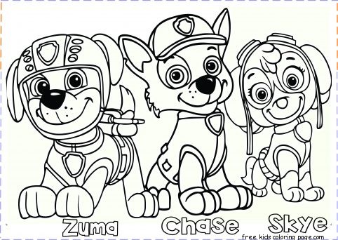 paw patrol coloring pages zuma chase skye