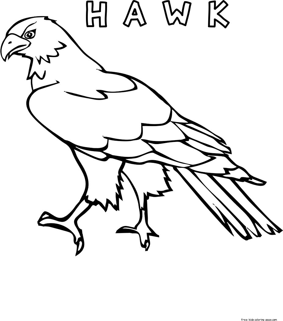hawk bird pages for colouring for kids