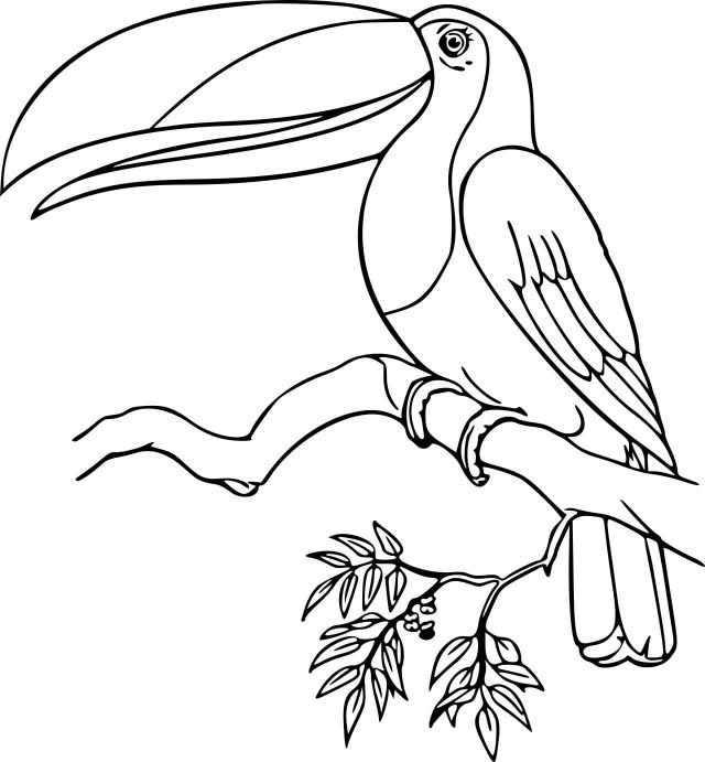 Toucan Singing Coloring Page