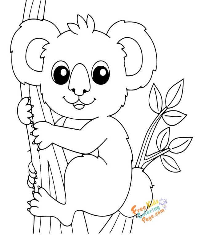 Koala Animal Coloring Page