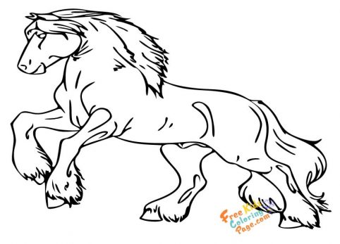beautiful horse coloring pages for adults