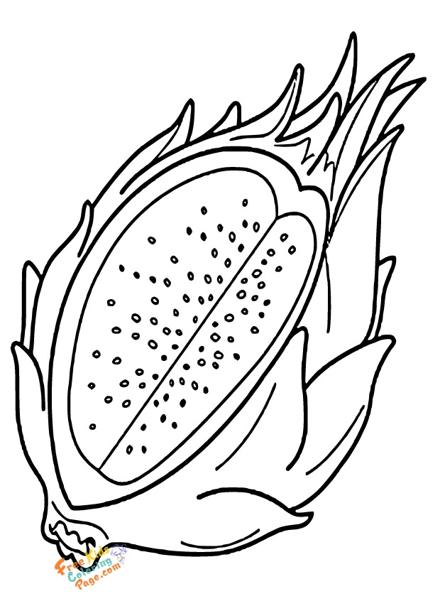 Dragon fruit coloring pages to print for kids. Exotic fruit Lychee