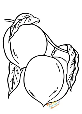 Peach fruit coloring page Picture to color fruit