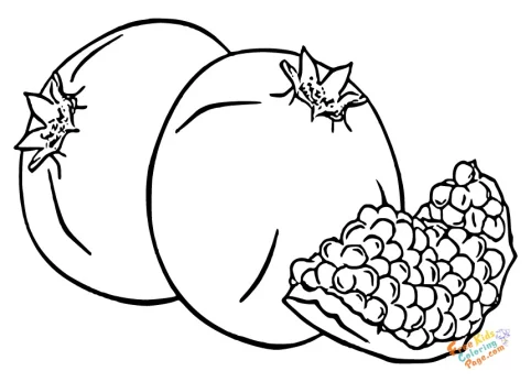 Pomegranate Fruit coloring book