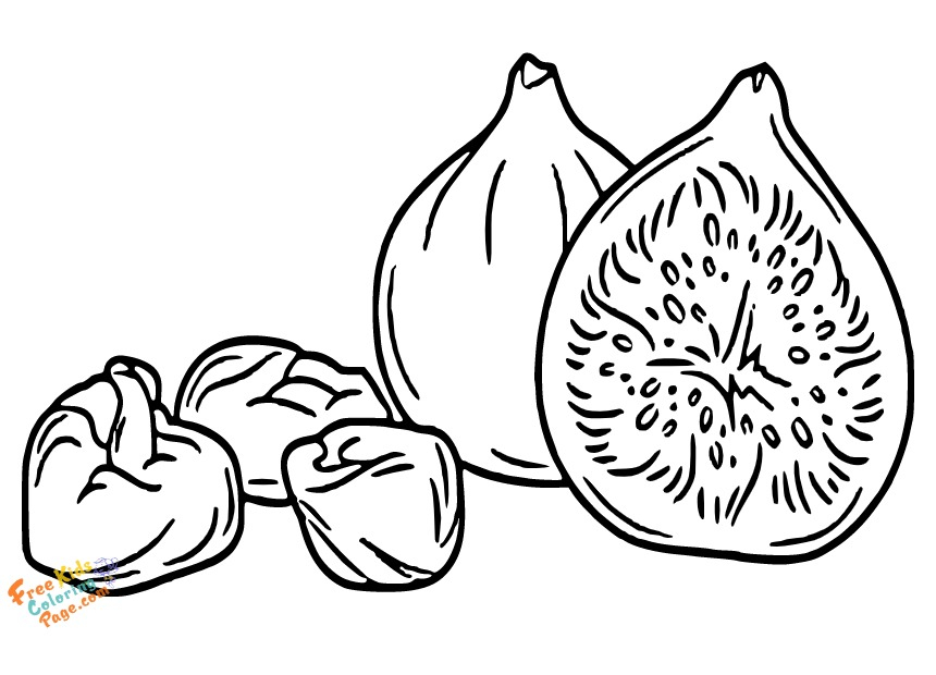 figs coloring pages to print out for kids. Exotic fruit figs