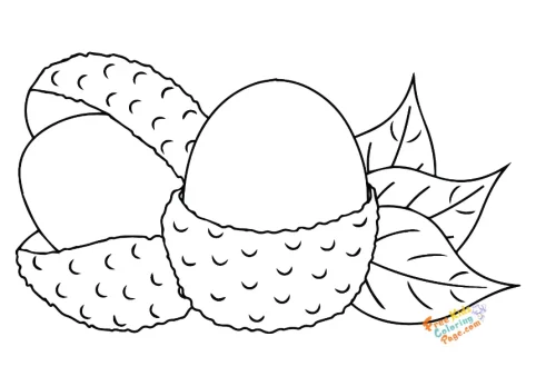 lychee tropical fruits coloring page