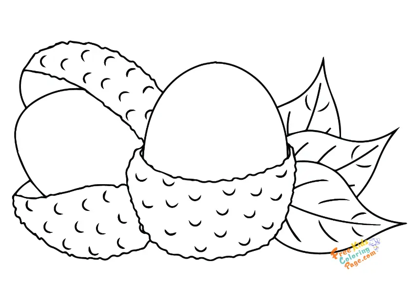 lychee tropical fruits coloring page