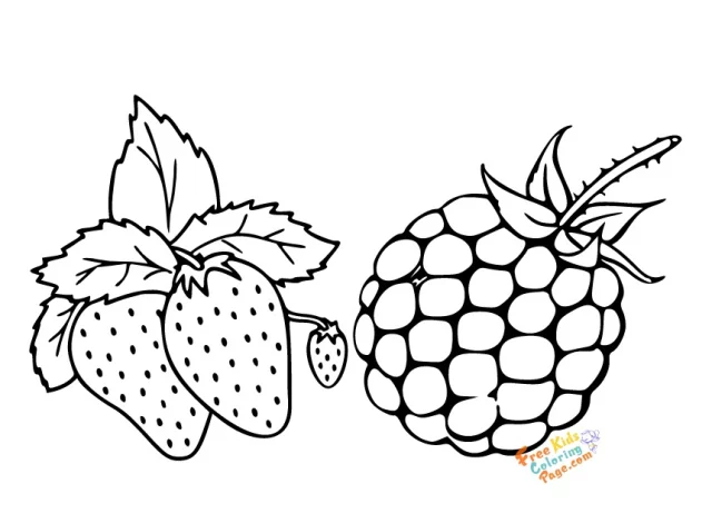 strawberry and raspberry coloring in pictures